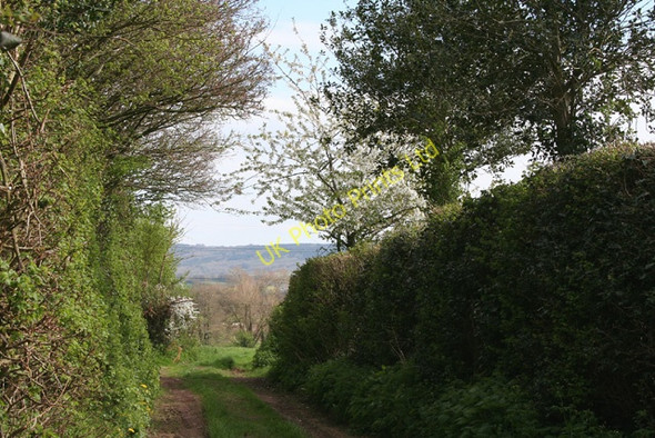 Photo 6"x4" Nynehead: footpath to Bradford-on-Tone Wellington\/ST1420 c2006