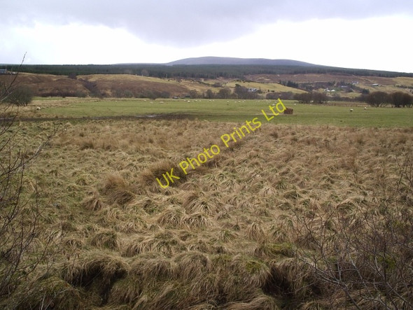 Photo 6"x4" Looking over towards Oape Oape c2006