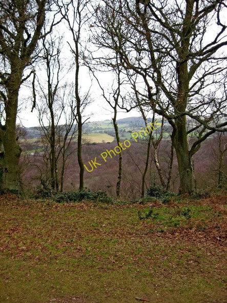 Photo 6"x4" Looking out from Kinver Edge Kinver c2010