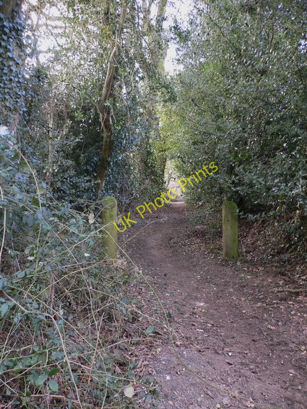Photo 6"x4" Bridleway off Bacon Lane Churt c2010