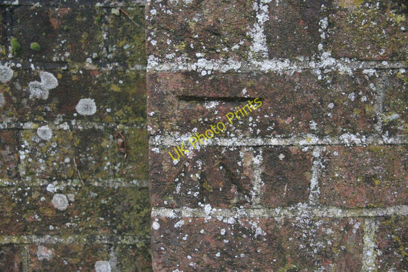 Photo 6"x4" Close up of the Bench Mark Wallingford c2010