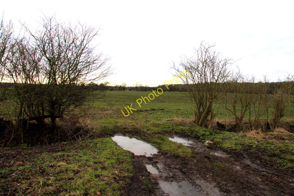 Photo 6"x4" Field entrance by Holly Wood Stanton St John c2010