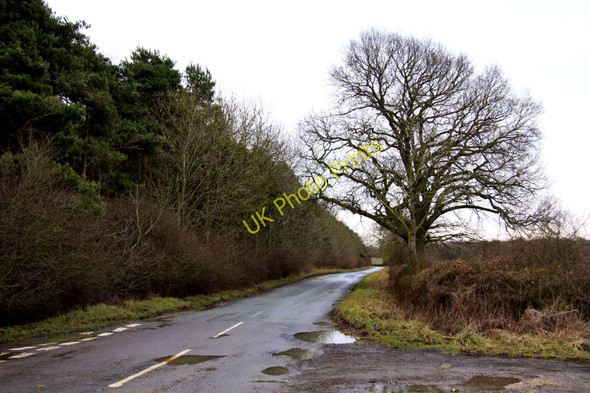 Photo 6"x4" The road to Worminghall Horton-cum-Studley c2010
