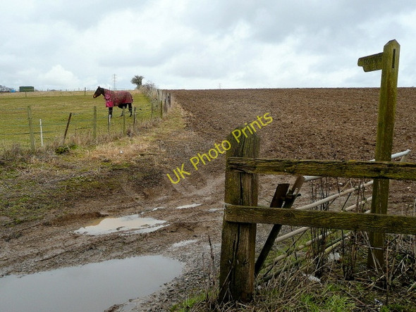 Photo 6"x4" Field-edge footpath Great Shoddesden c2010