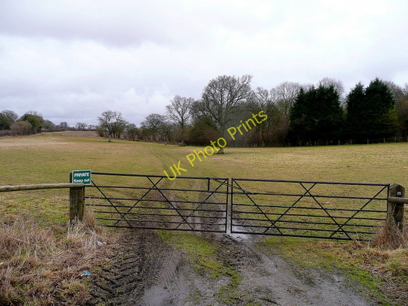 Photo 6"x4" Pastoral West Hampshire Little Shoddesden c2010