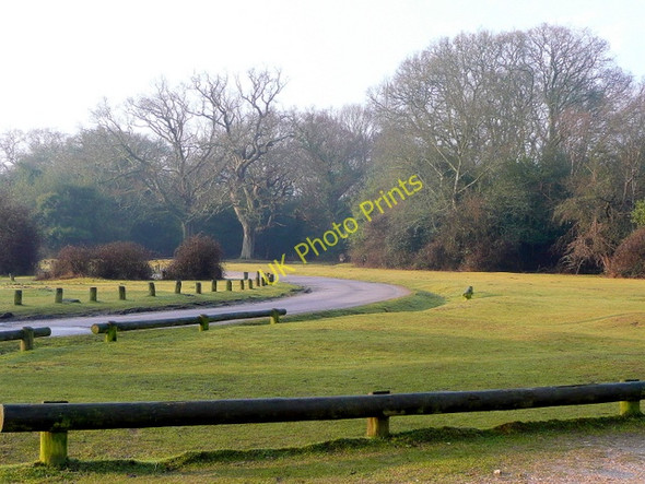 Photo 6"x4" Forest edge at Fritham Fritham c2010