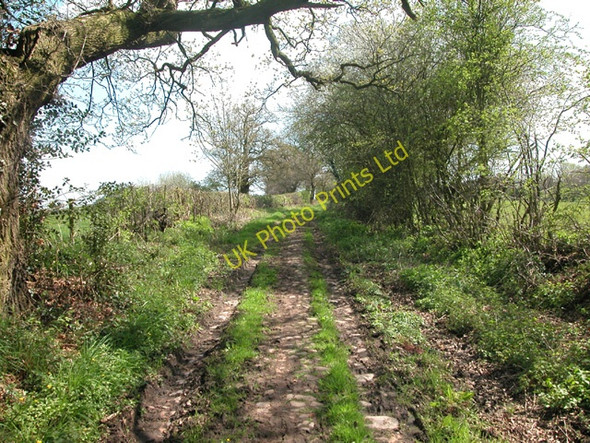 Photo 6"x4" Bishop Bennet Way Newton\/SJ5059 c2006