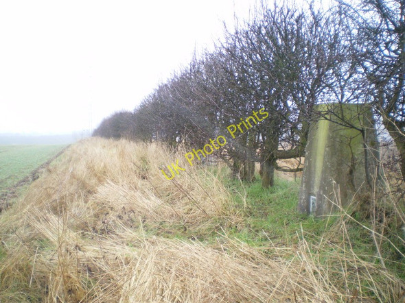 Photo 6"x4" Babworth trig point  (and a hedge) in the snow Retford c2010