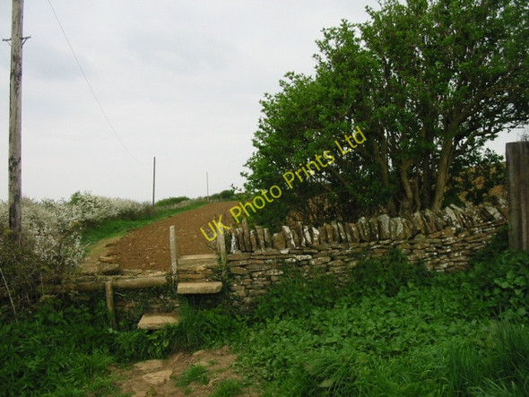 Photo 6"x4" Coast Path and farmland, Merry Hill Portesham c2006