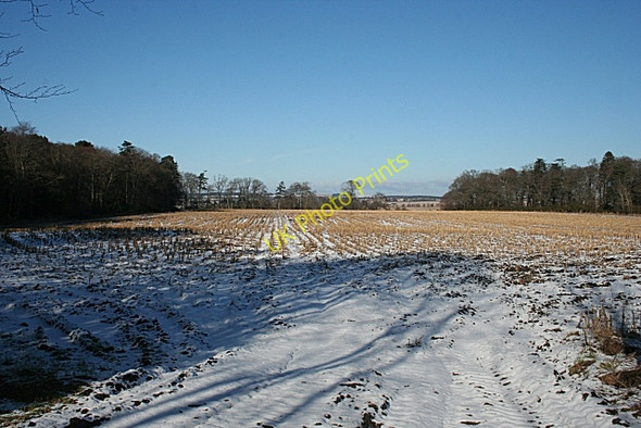 Photo 6"x4" Fields at Findrassie Elgin c2010