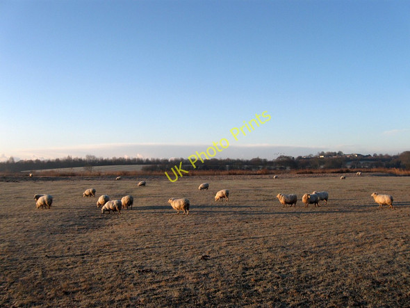 Photo 6"x4" Great King's Salts Mill Hill\/TQ6205 c2010