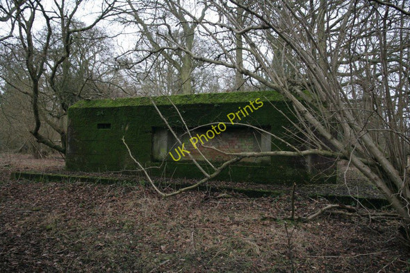 Photo 6"x4" Front covered in moss Tidmarsh c2010