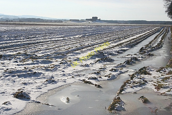 Photo 6"x4" Fields near Westerfolds Covesea c2010