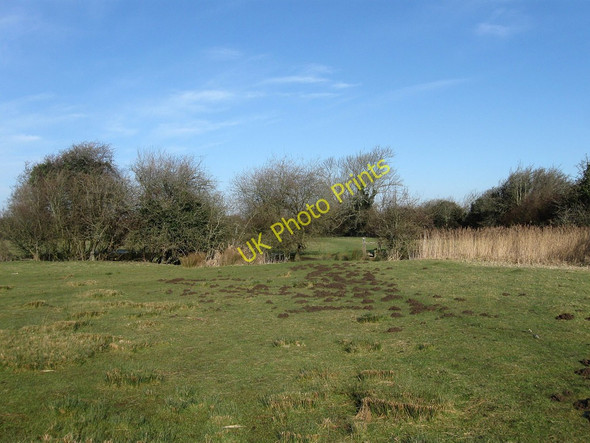 Photo 6"x4" Moles at Work, Glynleigh Level Hailsham c2010