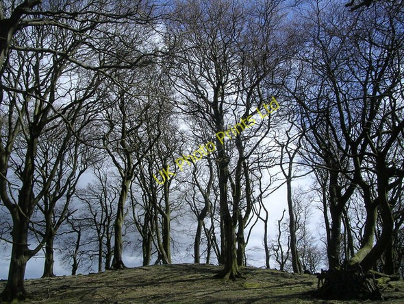 Photo 6"x4" Summit of Drumheldric Kilsyth c2006
