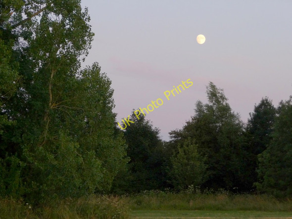 Photo 6"x4" Water Meadows, Pangbourne, Berkshire Pangbourne c2009