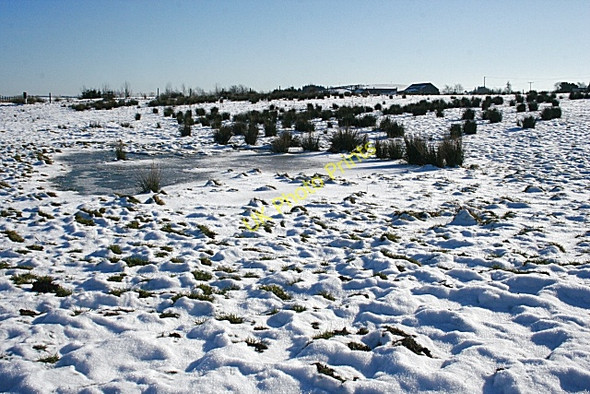 Photo 6"x4" Frozen Bog Finnygaud c2010