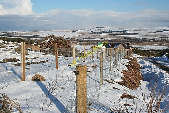 Photo 6"x4" New House above Newton of Culvie Finnygaud c2010