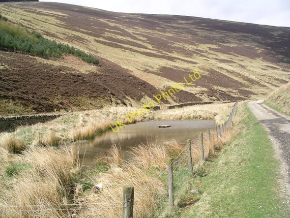 Photo 6"x4" Duckpond, Gatehopeknowe Burn Walkerburn c2006