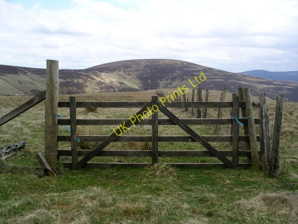 Photo 6"x4" Gate and fence, Seathope Rig Seathorpe Rig c2006
