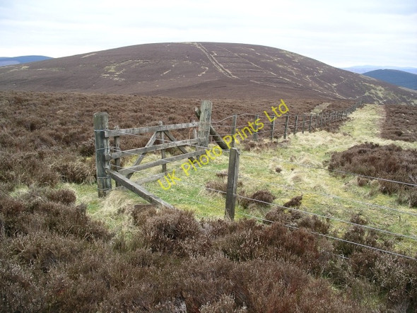 Photo 6"x4" Gate and fence, Maiden Law Maiden Law\/NT3941 c2006