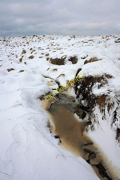Photo 6"x4" Peat Hagg, Hodge Hill Green Withens Resr c2010