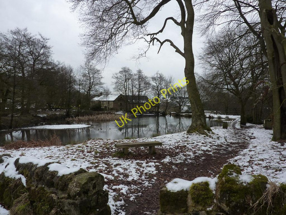 Photo 6"x4" Lumsdale Valley Industrial Archaeological Site. The Lower Pond Matlock c2010