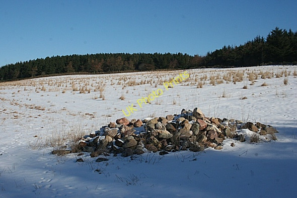 Photo 6"x4" Brae of Fordyce Fordyce c2010