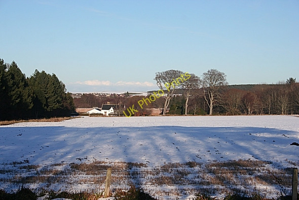 Photo 6"x4" Field near Cullen House Cullen\/NJ5167 c2010