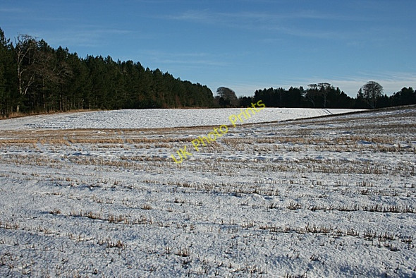 Photo 6"x4" Field near Cullen House Cullen\/NJ5167 c2010 P1