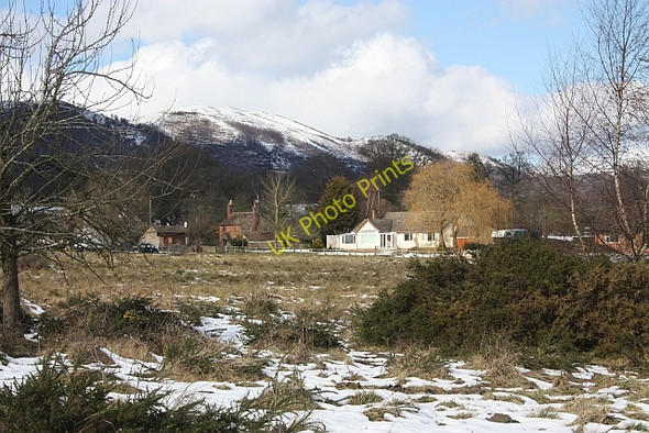 Photo 6"x4" Houses on Castlemorton Common Marl Bank c2010