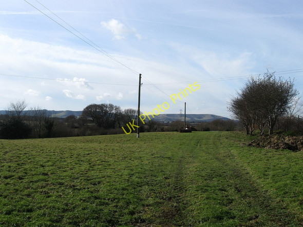 Photo 6"x4" Handcombe Meadow Hankham c2010