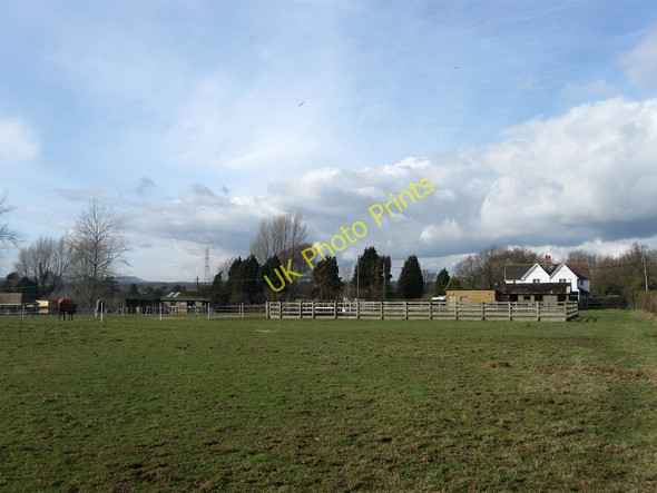 Photo 6"x4" Thorns Land Hankham c2010