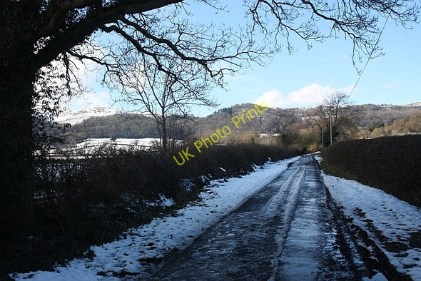 Photo 6"x4" Hancocks Lane Chandler's Cross\/SO7738 c2010