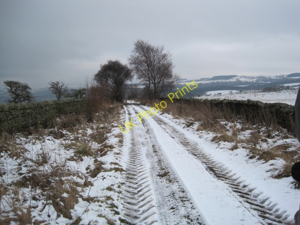 Photo 6"x4" Byway to Black Byre Plantation Langley\/NY8261 c2010
