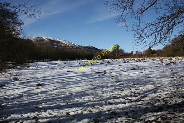 Photo 6"x4" Meadow in Little Malvern Upper Welland c2010