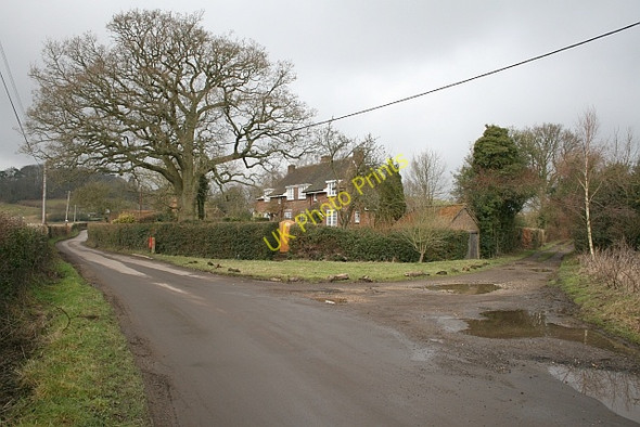 Photo 6"x4" Logmore Green Dorking c2010