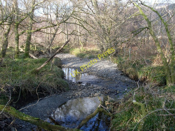 Photo 6"x4" Wood Burn, Ross Wood Inverbeg c2010