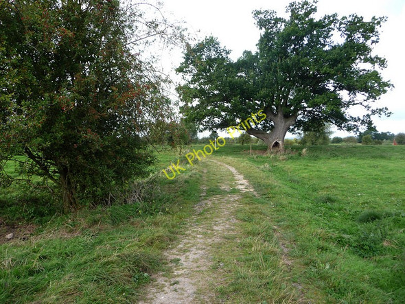 Photo 6"x4" Path to the River Severn, Deerhurst Chaceley Stock c2009