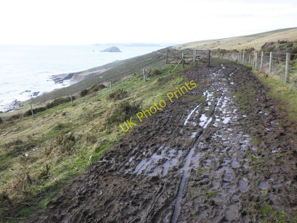 Photo 6"x4" Lord Revelstoke's Ride, Noss Mayo Noss Mayo c2010
