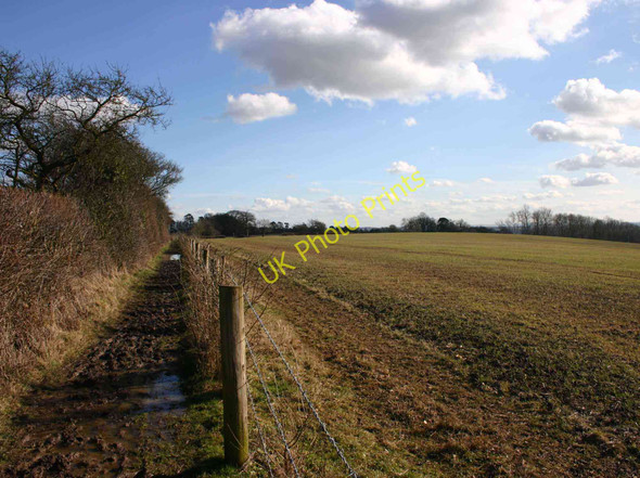 Photo 6"x4" Bridleway to Welcombe Hills Country Park Stratford-upon-Avon c2010