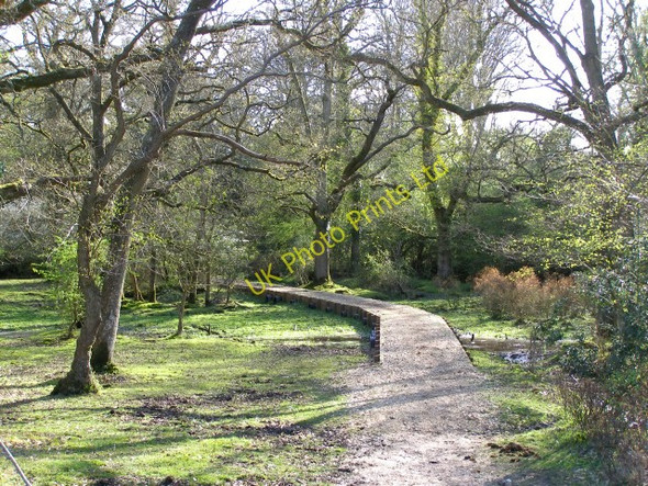 Photo 6"x4" Causeway across the carr, Beaulieu River, New Forest Applemore c2006