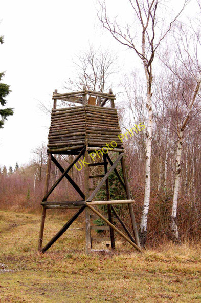 Photo 6"x4" Deer shooting hide in Shabbington Wood Horton-cum-Studley c2010