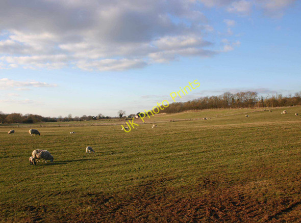 Photo 6"x4" View NNW from Ailstone Ailstone c2010