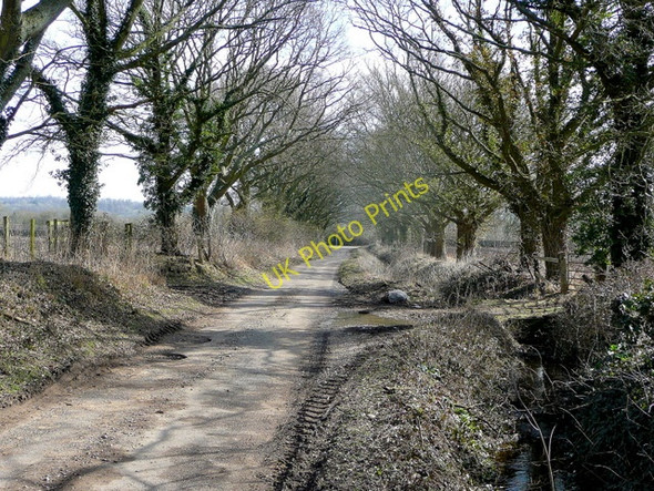 Photo 6"x4" Road from Breamore Park Breamore c2010