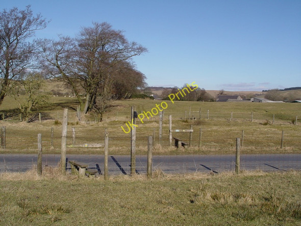 Photo 6"x4" Three Stiles Fair Oak\/SD6446 c2010