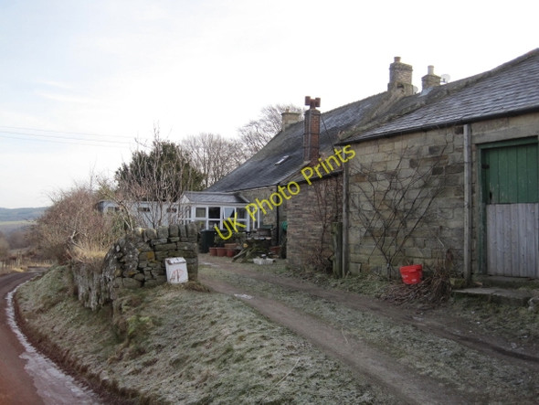 Photo 6"x4" Cottage near Newbiggin Hill Diptonmill c2010