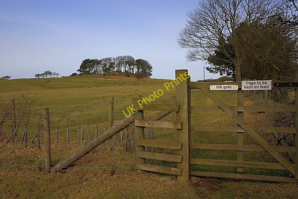 Photo 6"x4" Seamer Beacon Falsgrave c2010
