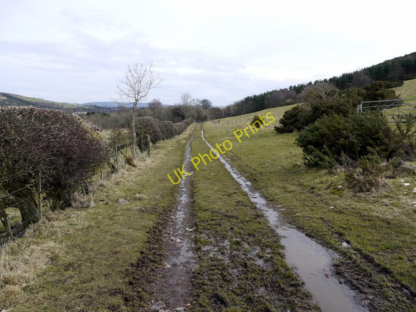 Photo 6"x4" Farm track north of West Hill Kirknewton\/NT9130 c2010