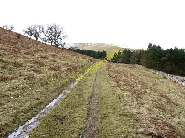 Photo 6"x4" Track north of West Hill Westnewton\/NT9030 c2010